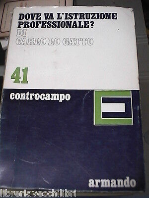 23958834