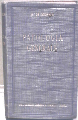 23966386