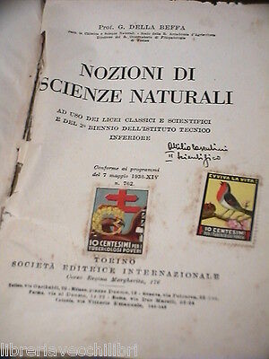 23967250