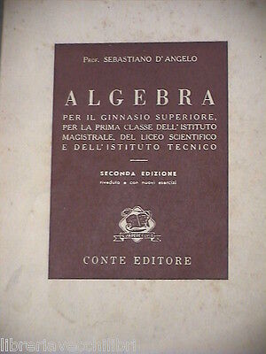 23968151