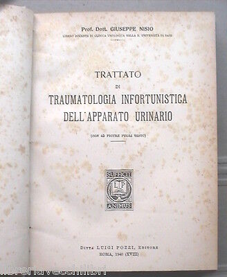 23976499