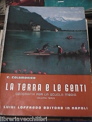23969106