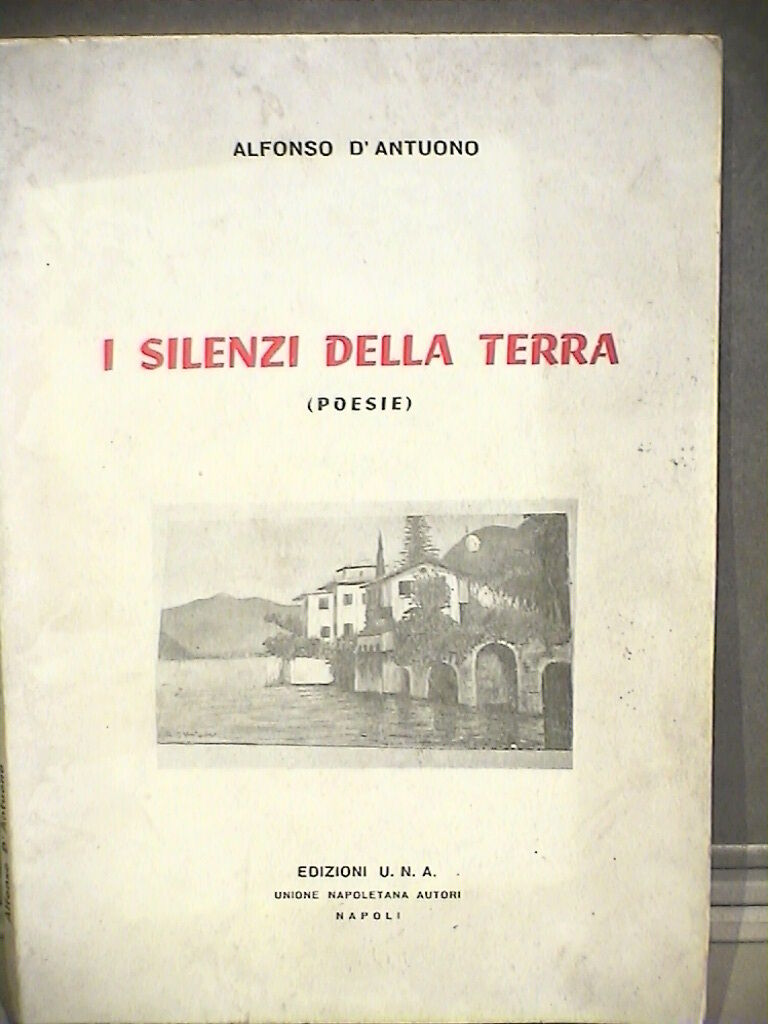 23971925