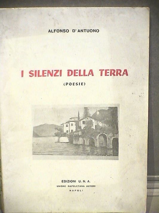 23971925