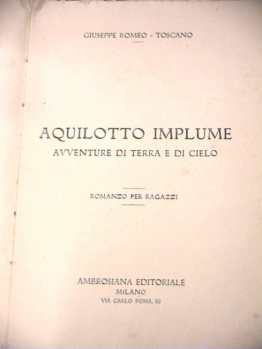 23972647
