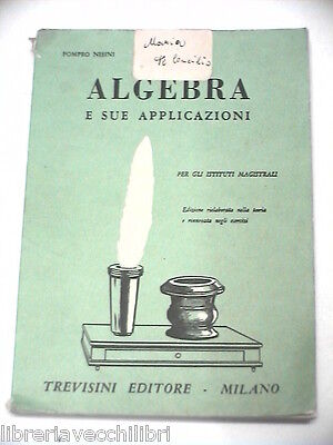 23981205