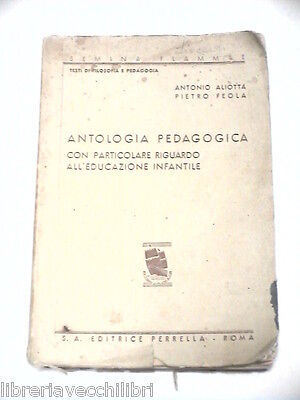 23981217