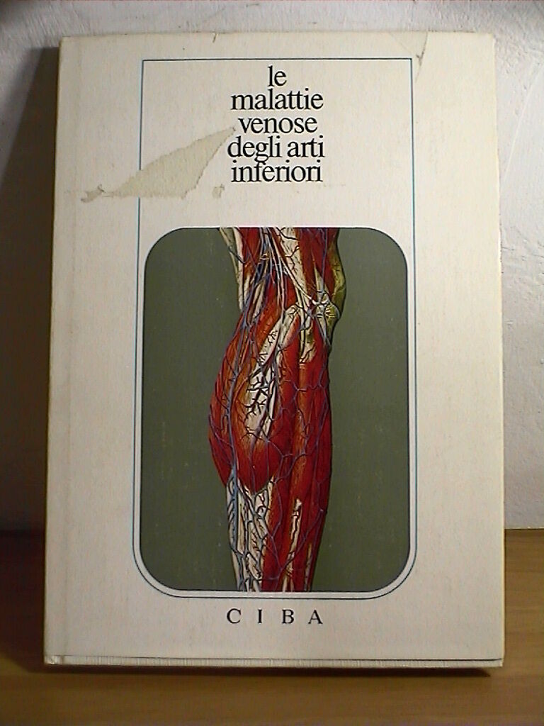 23997629