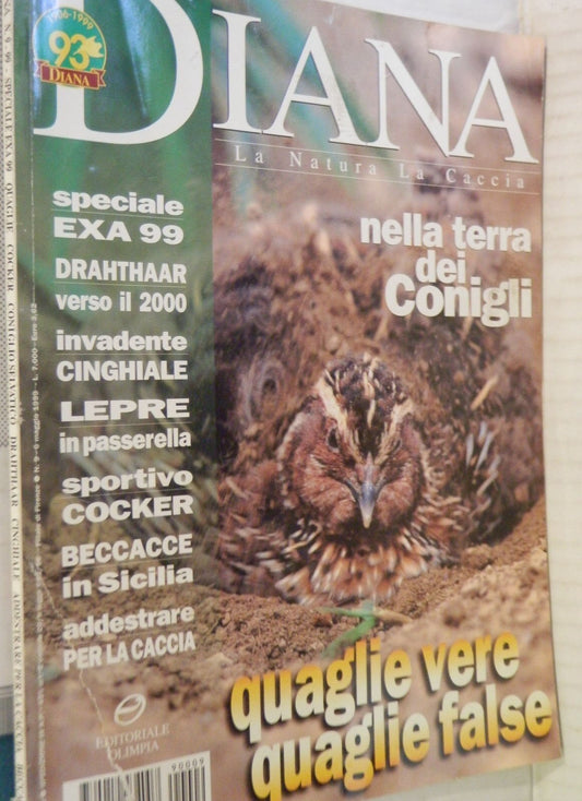 24197739