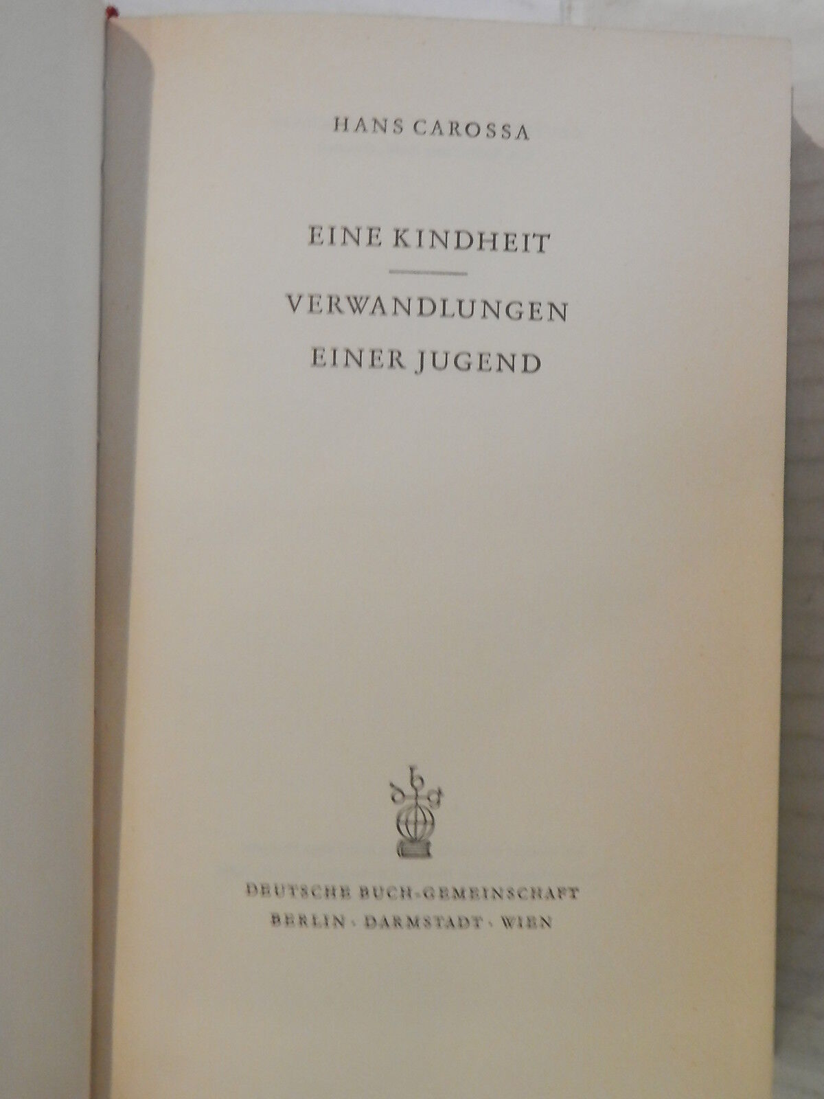 24028534