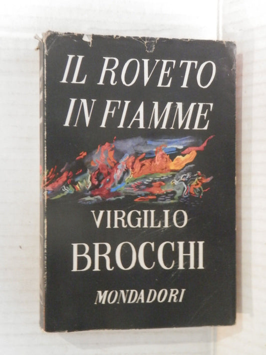 24109162