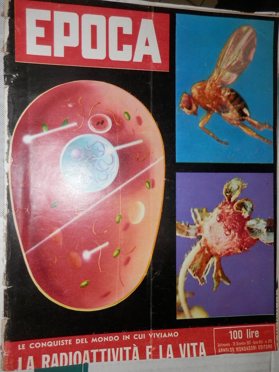 24013296