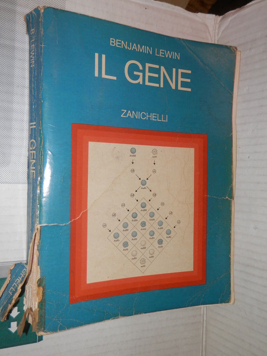 24788166