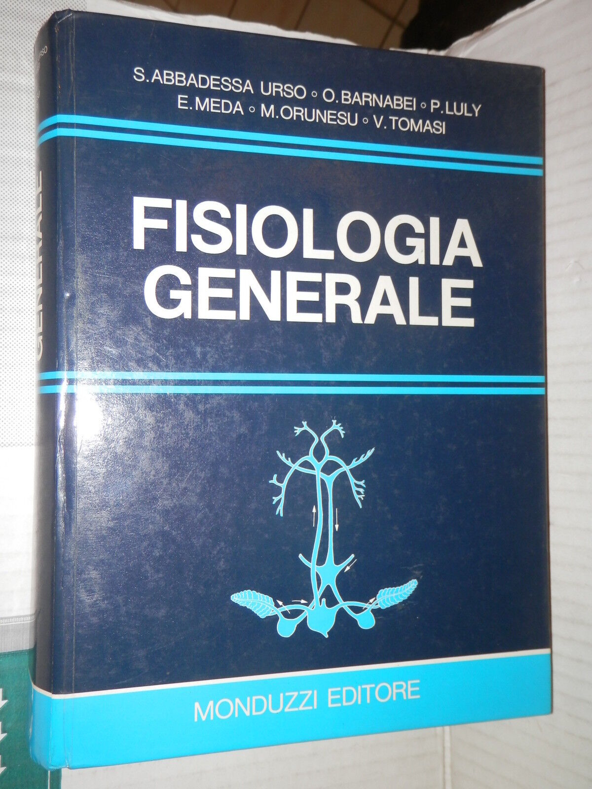 24109462