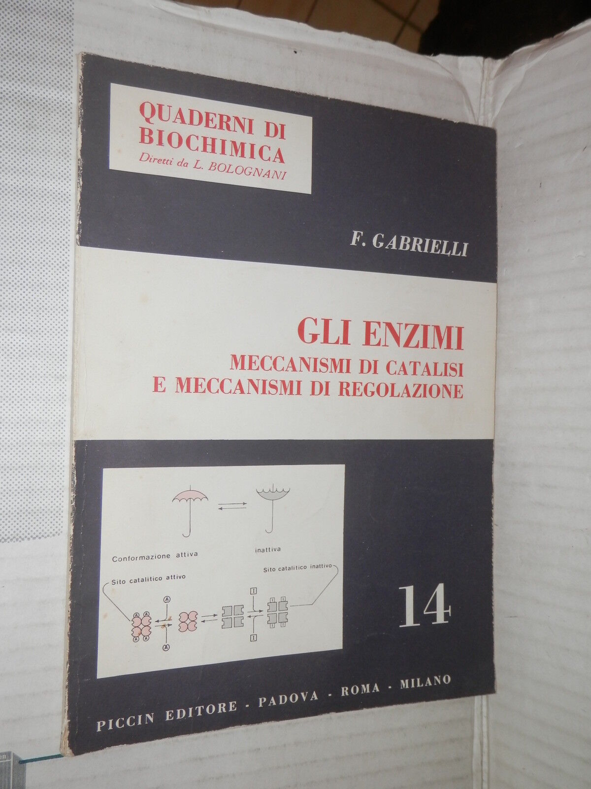 24109476