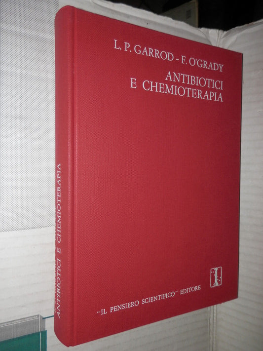 24087031
