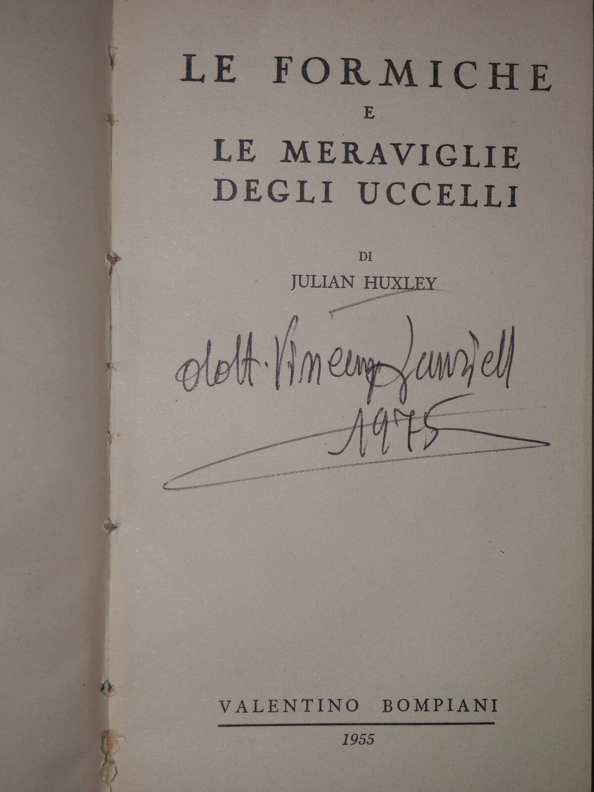 24087479