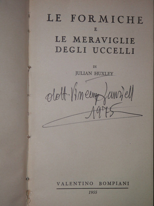 24087479