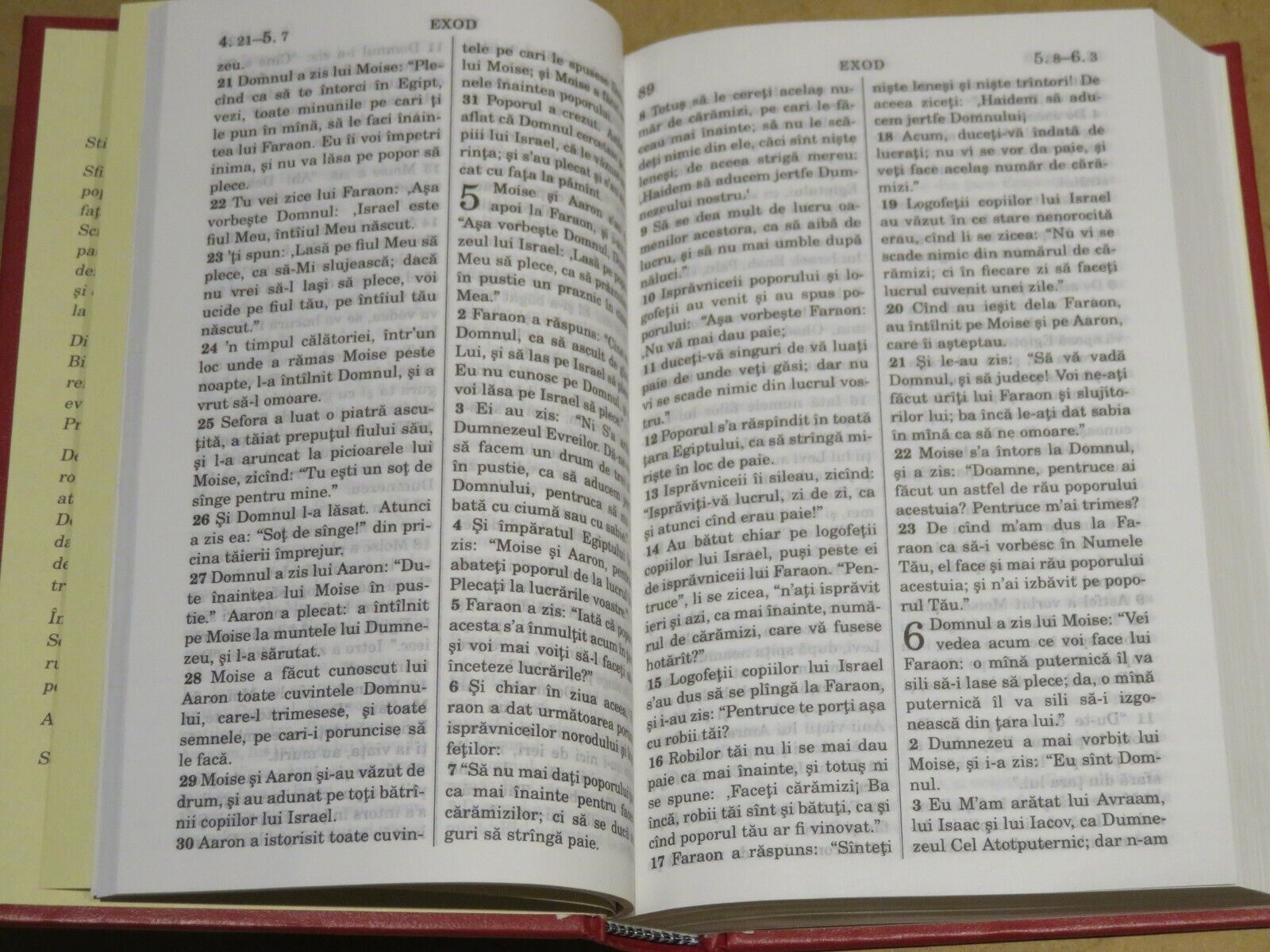 24079244