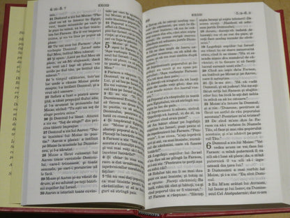24079244