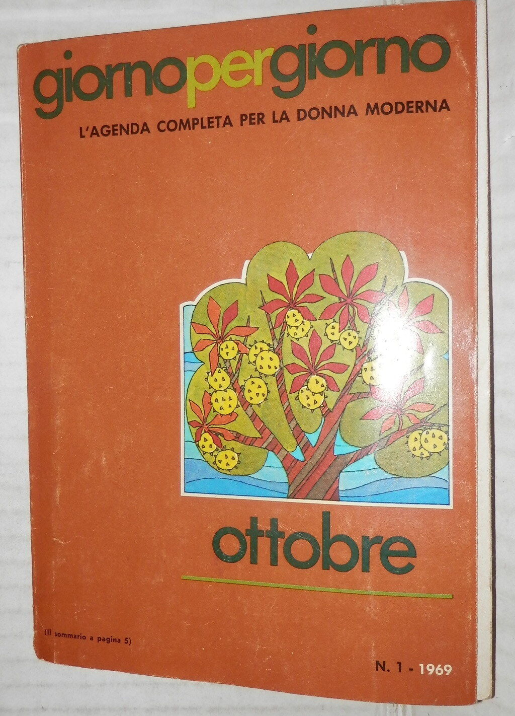 24080671
