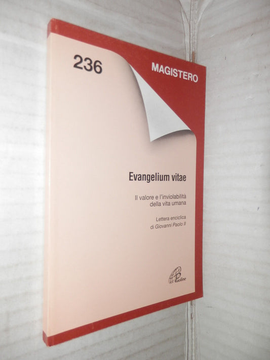 24088024