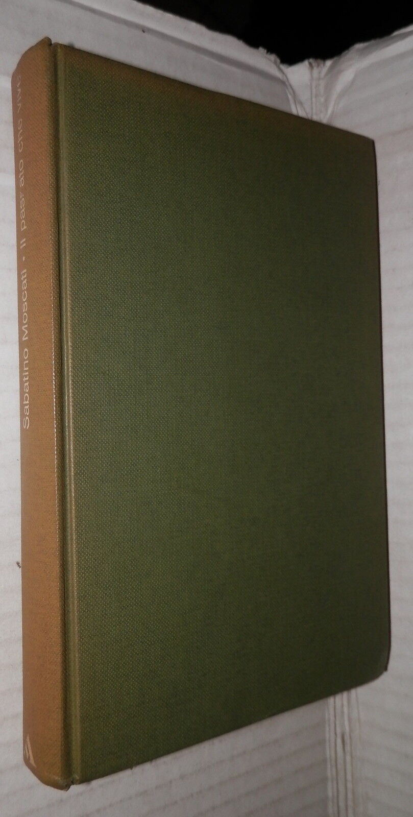 24072204