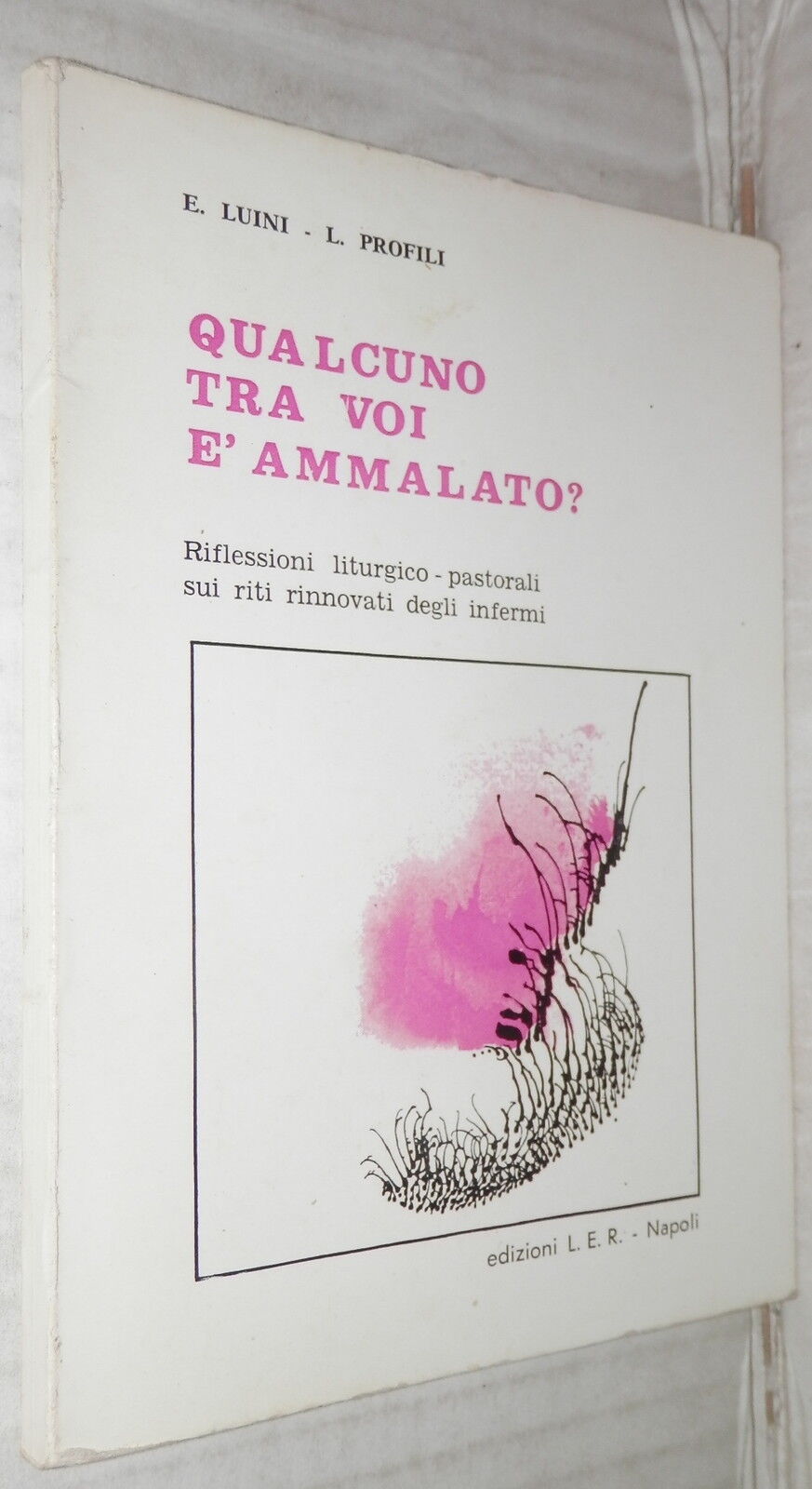 24074978