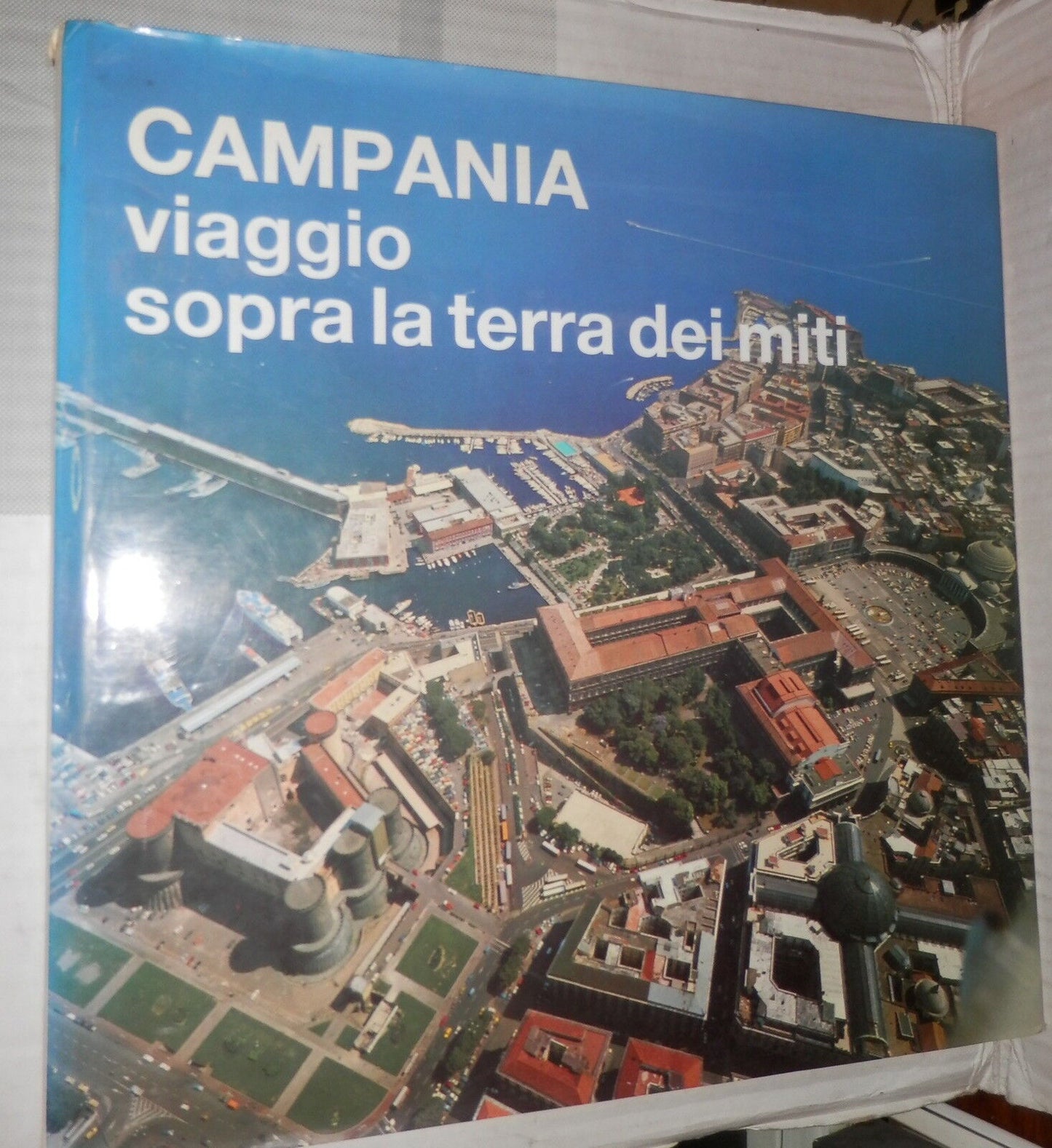 24076976