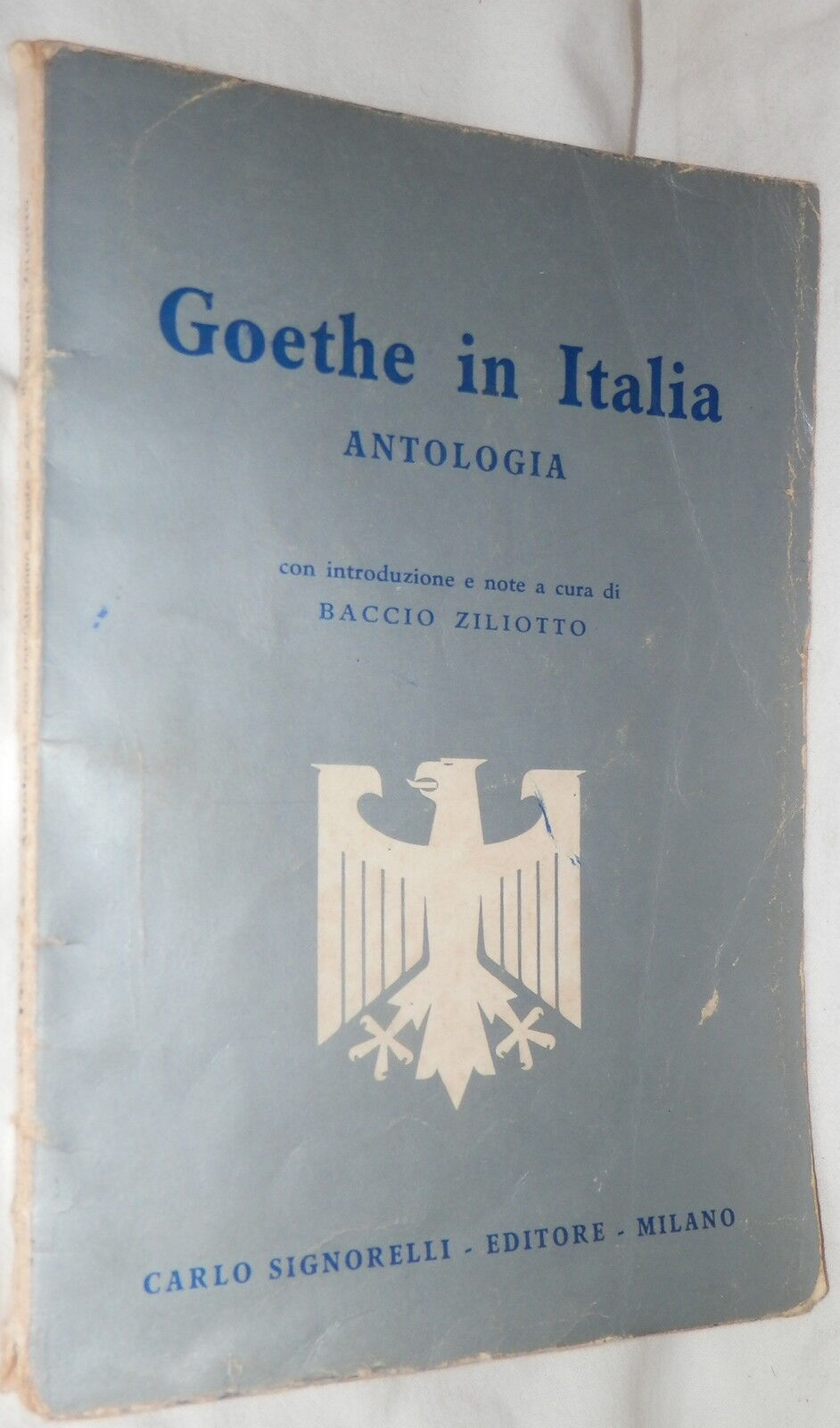 24080182