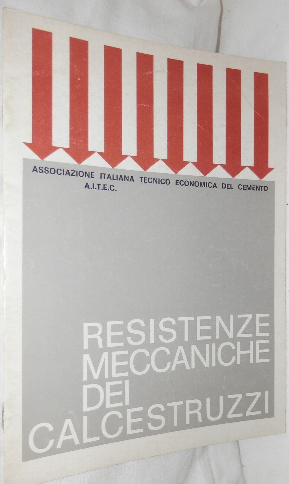 24080981