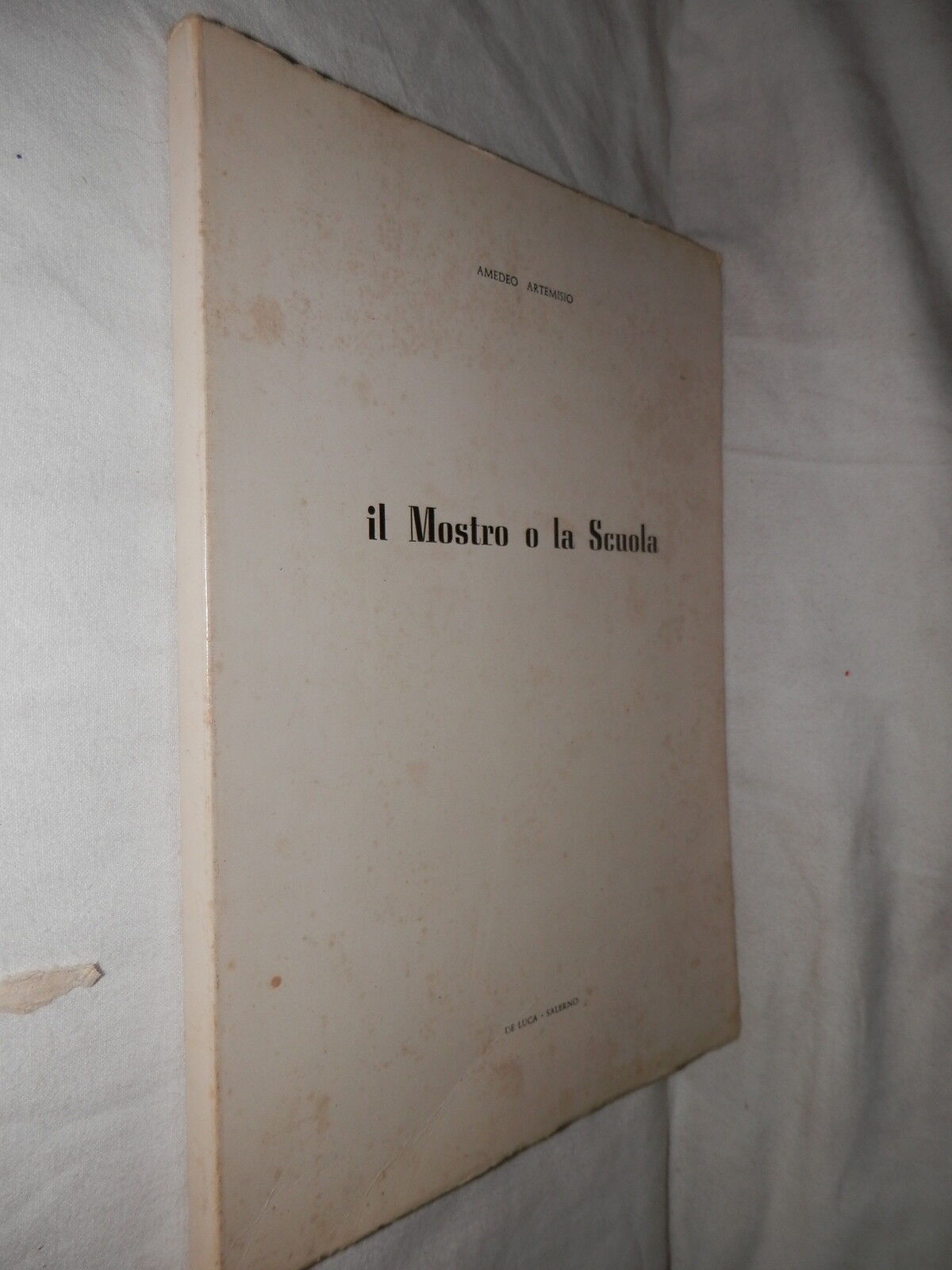 24071066