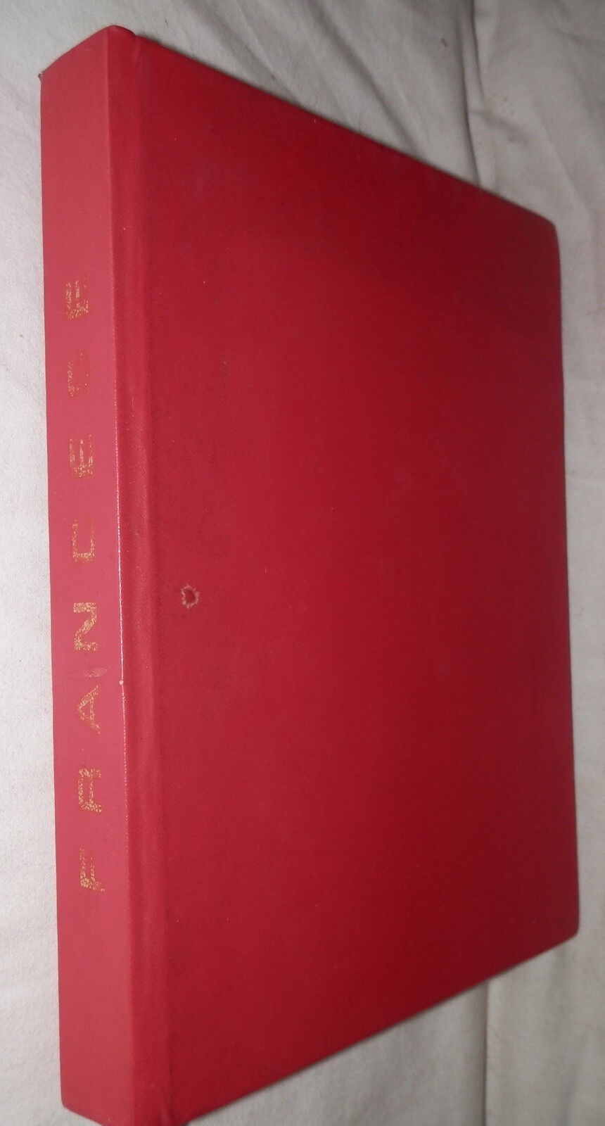 24076297