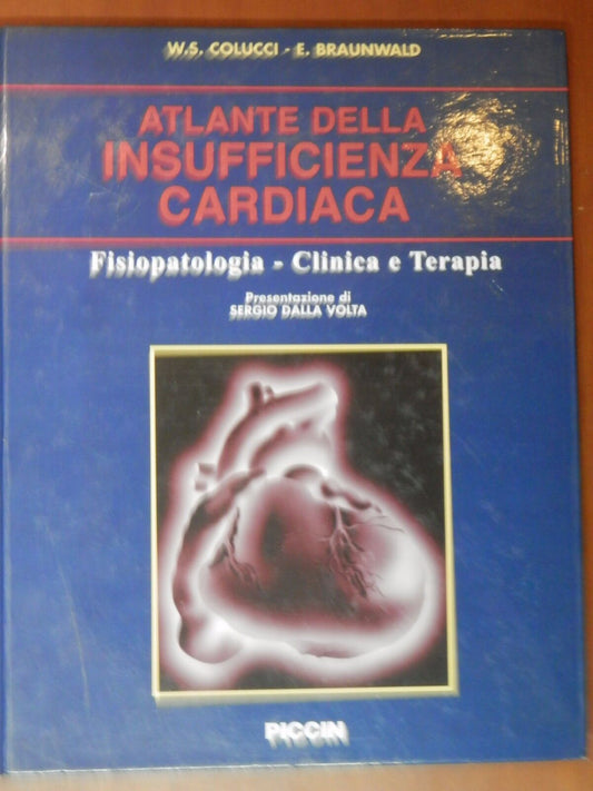 24079384