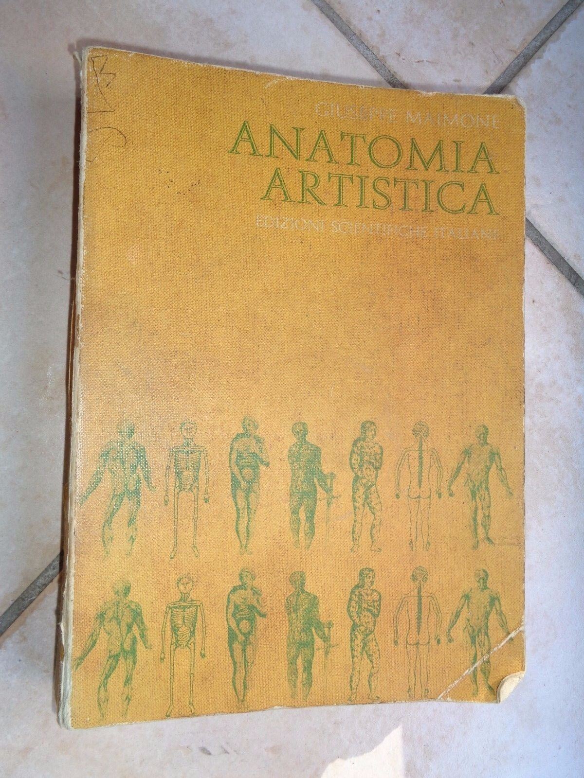 24070769