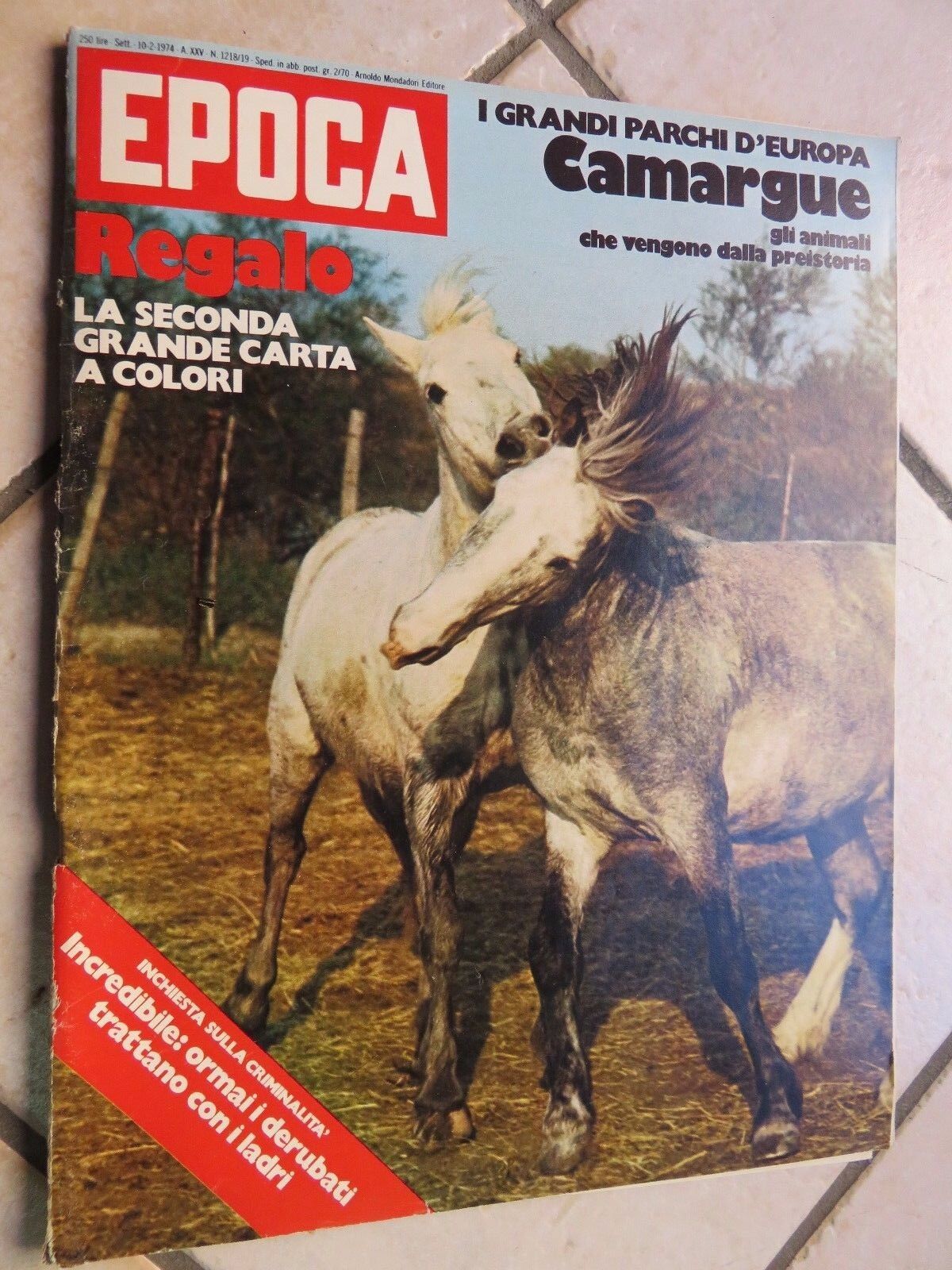 24074432