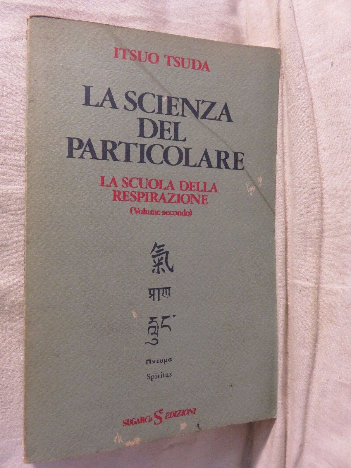 24008754