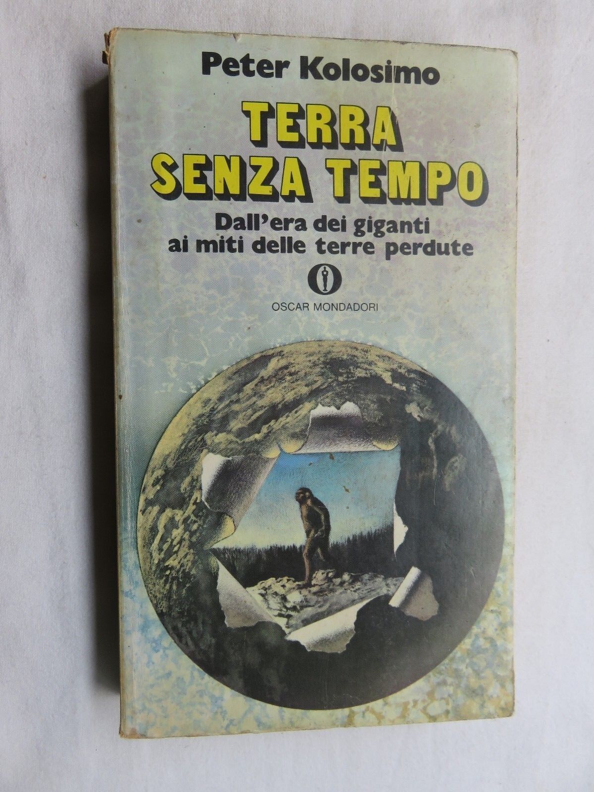 24036207