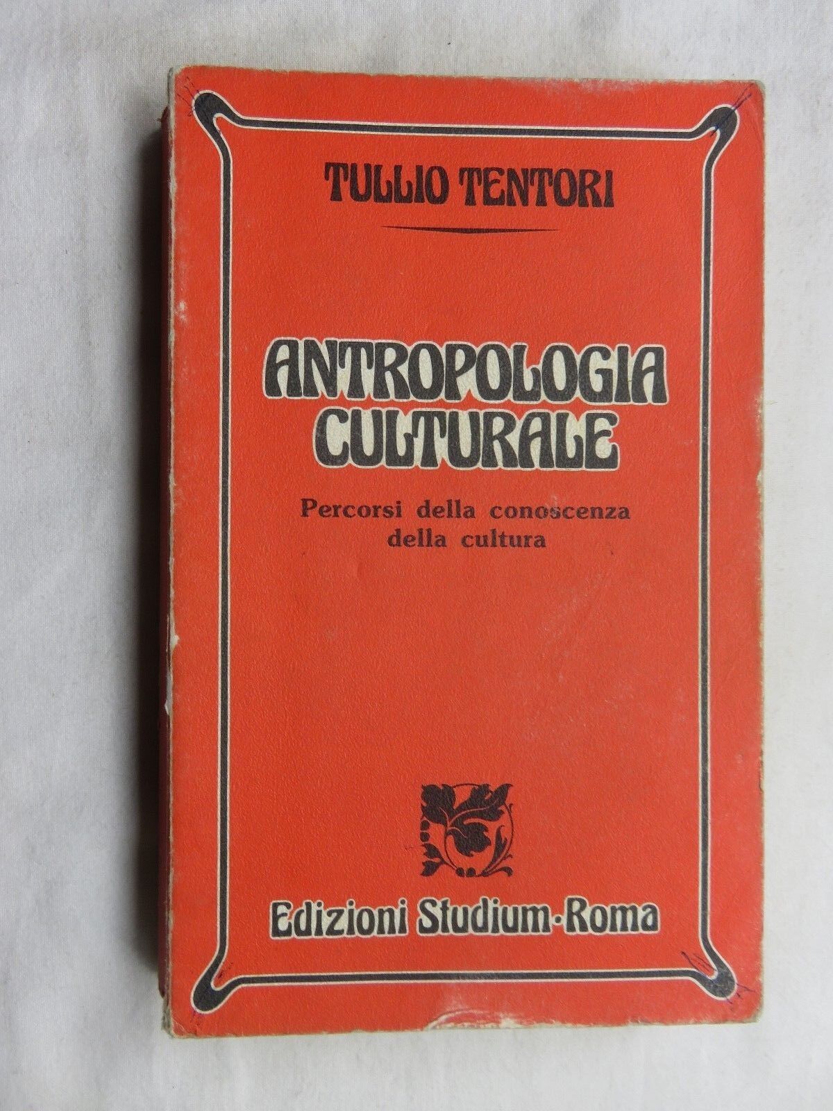 24038806