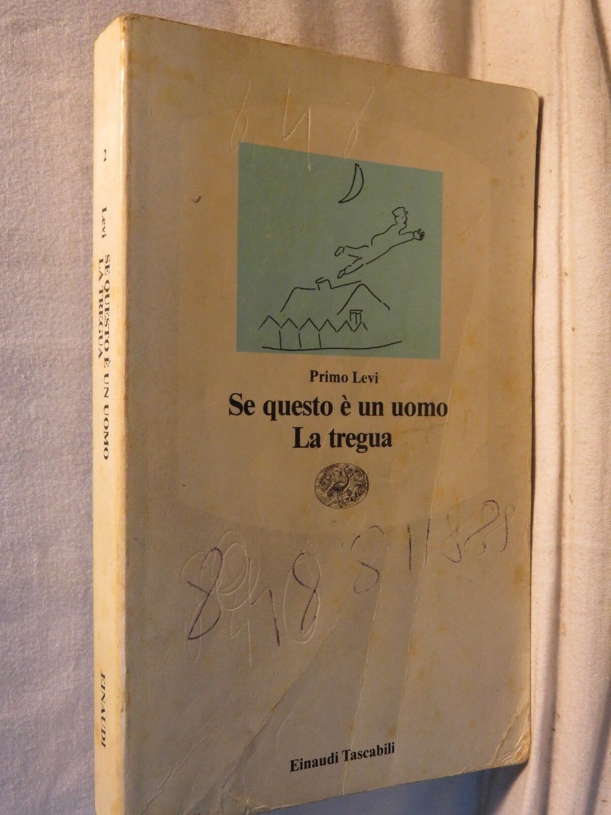 24040091