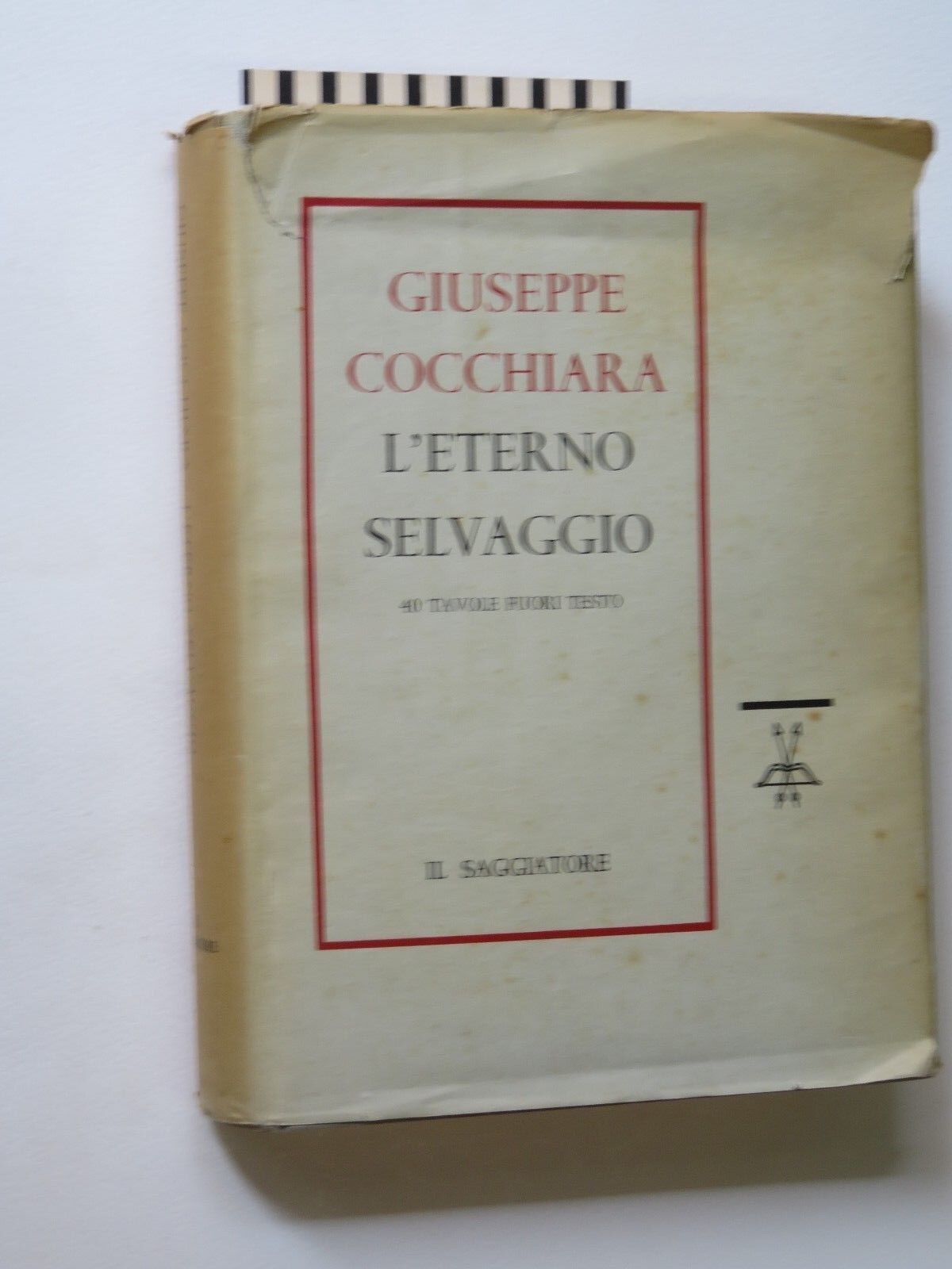 24032950