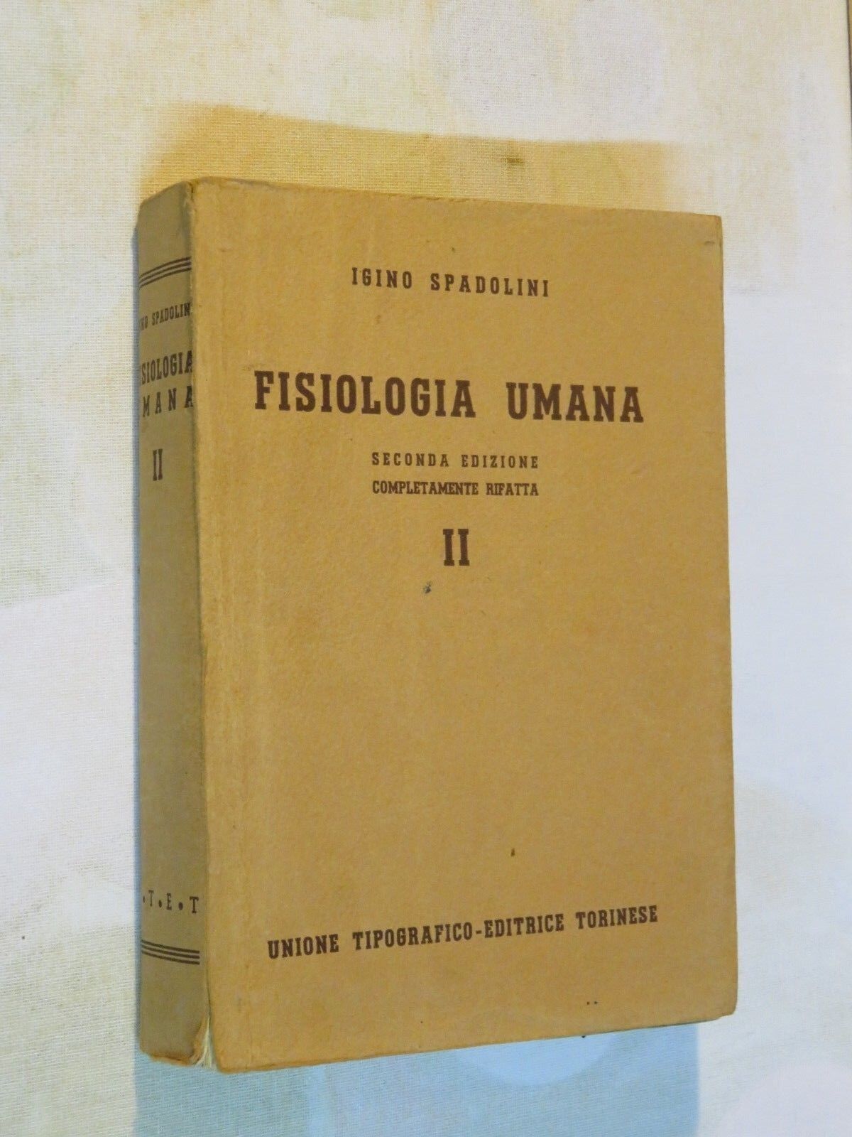 24054144