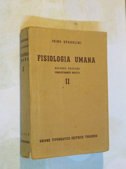 24054144