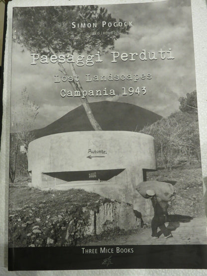 23980065