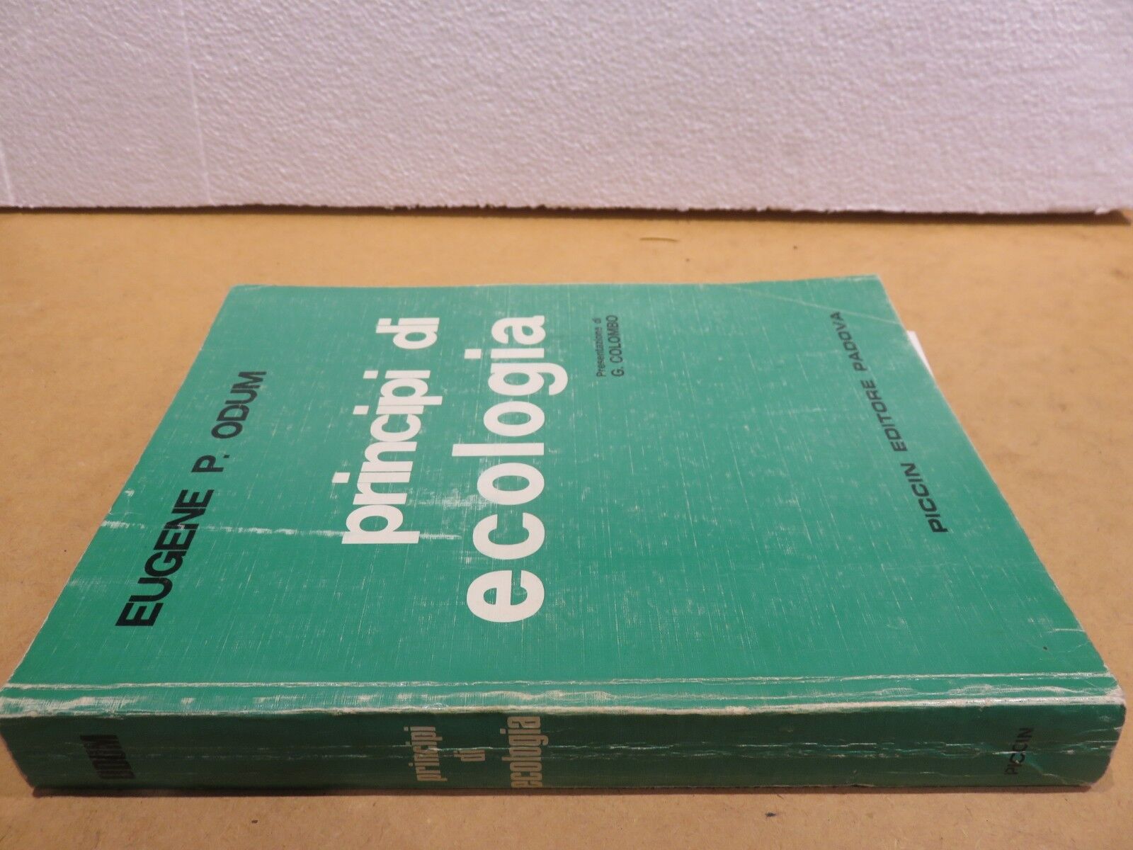 23981732