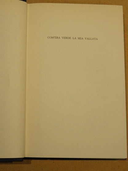 23989117