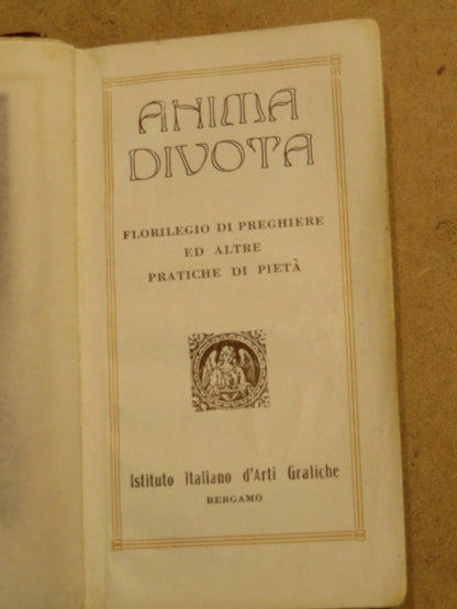 23967424