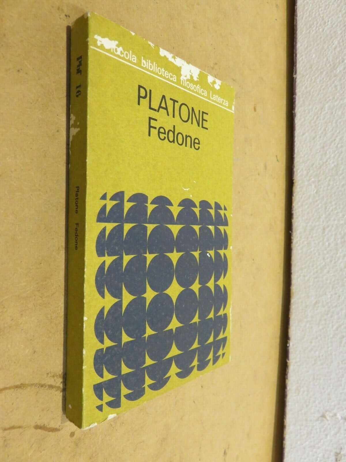 23967732