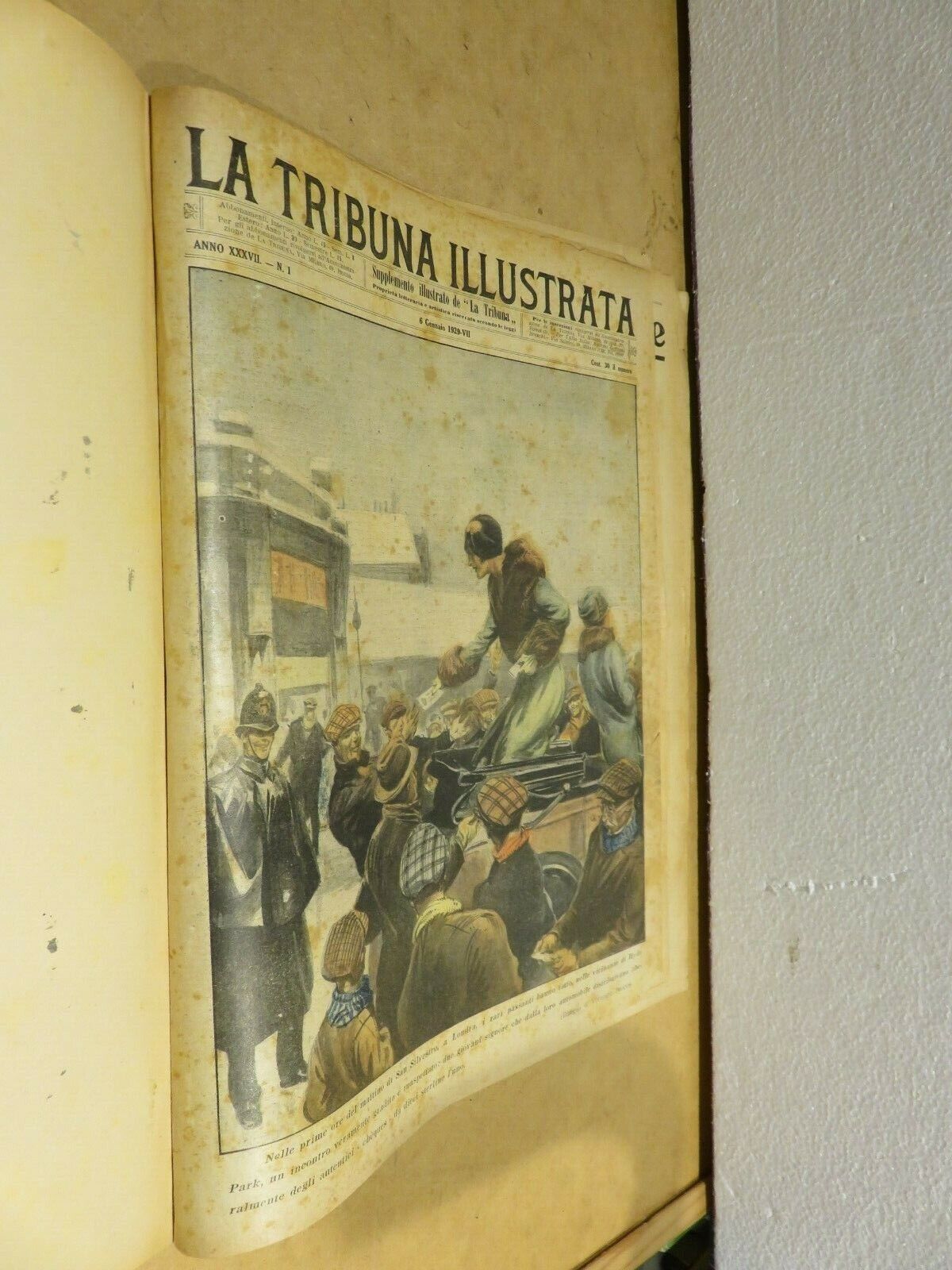 23971676