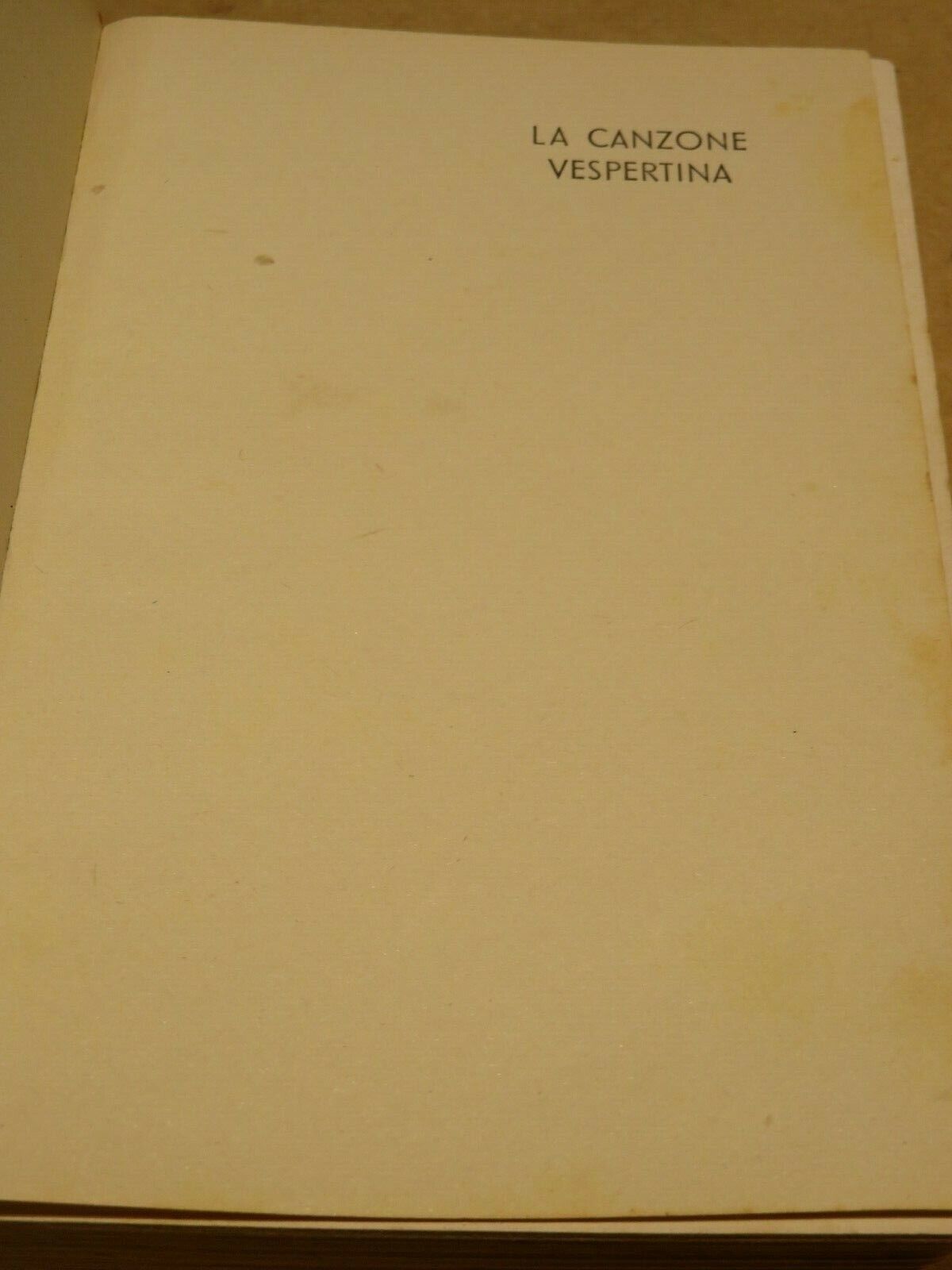 23982058
